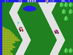Up 'n Down screenshot 8 for Colecovision